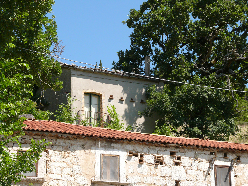 AMOROSI (BN) - 812 VILLA CON TERRENO