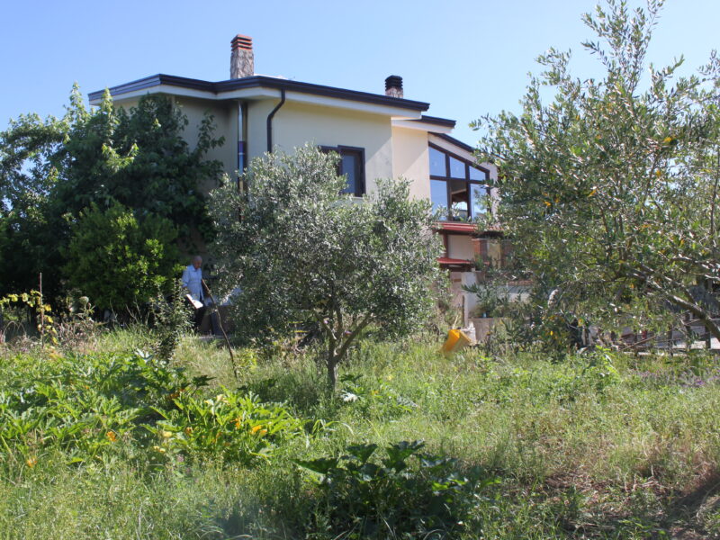 AMOROSI (808) - VILLA INDIPENDENTE CON TERRENO